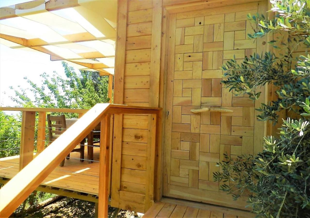 Kabak Misafir Evi Motel Faralya Bagian luar foto